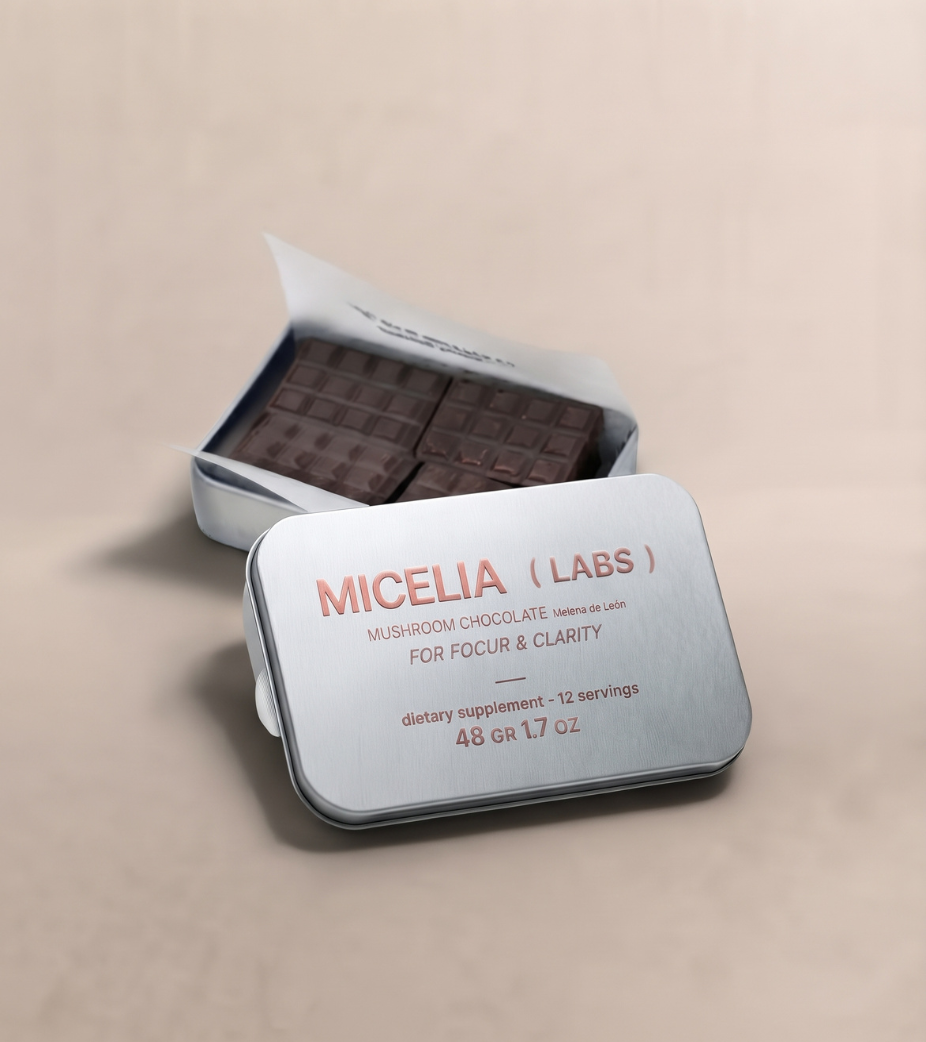 Chocolate con Melena de León