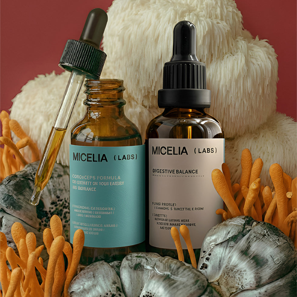 Full Body Recovery Kit