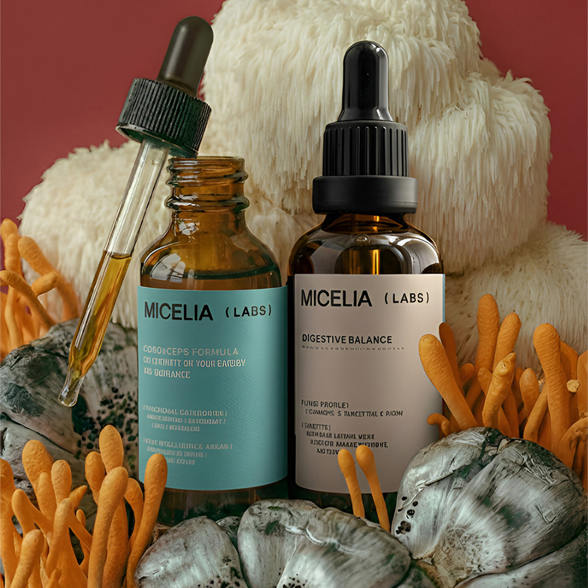 Full Body Recovery Kit